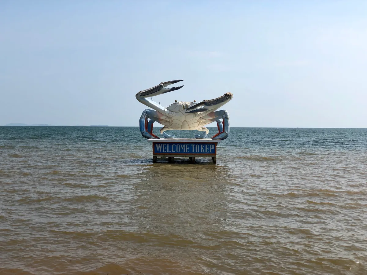 Fish. Crab. Superhighways.