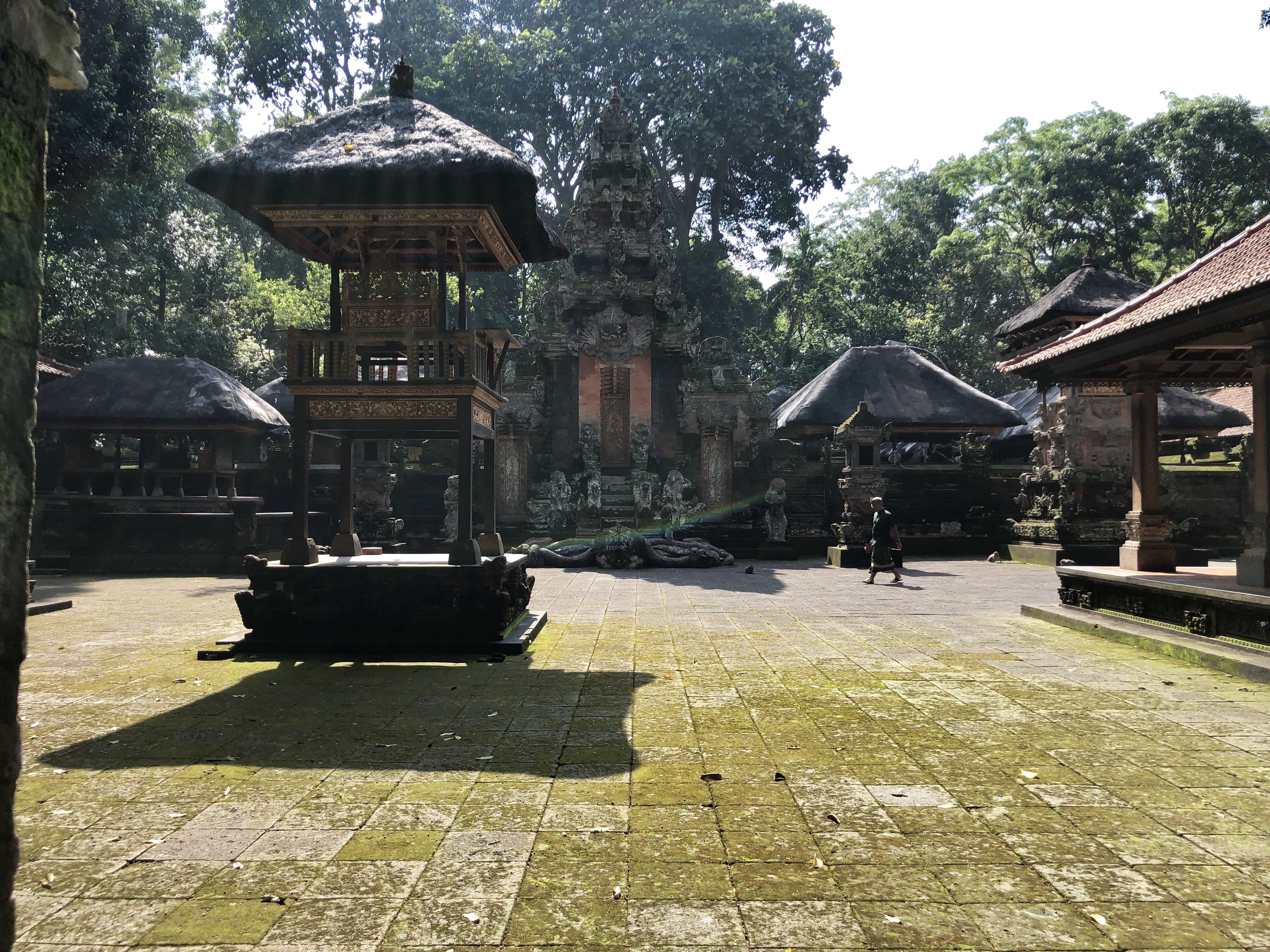 Temple in Monkey Forest