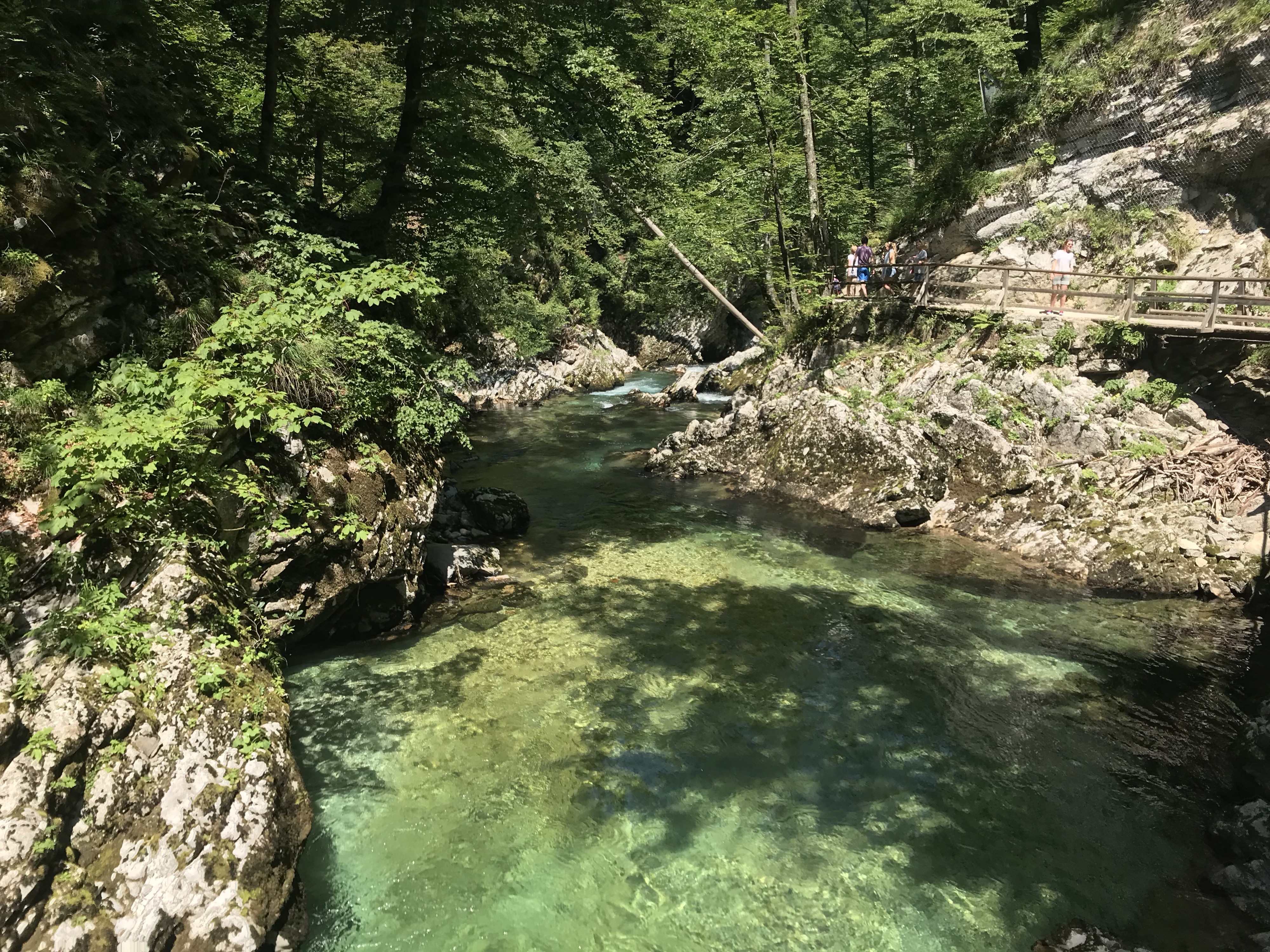 Vintgar Gorge, Bled